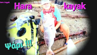 Έζησα το πιό τρελό σενάριο - I experienced the craziest scenario... #kayak #kayakfishing