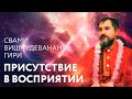 Сатсанг "Присутствие в восприятии", Свами Вишнудевананда Гири