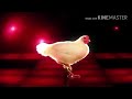 Techno de la gallina