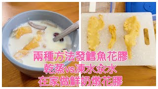 發鱈魚花膠全記錄: 比較乾蒸VS凍水汆水｜做鮮奶燉花膠 | How to prepare Fish Maw & make Steamed Milk Fish Maw in cheapest way