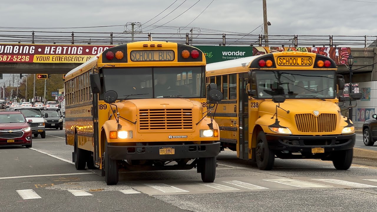 November 2025 School Buses Part 1 - Deer Park AmTran 3800s!