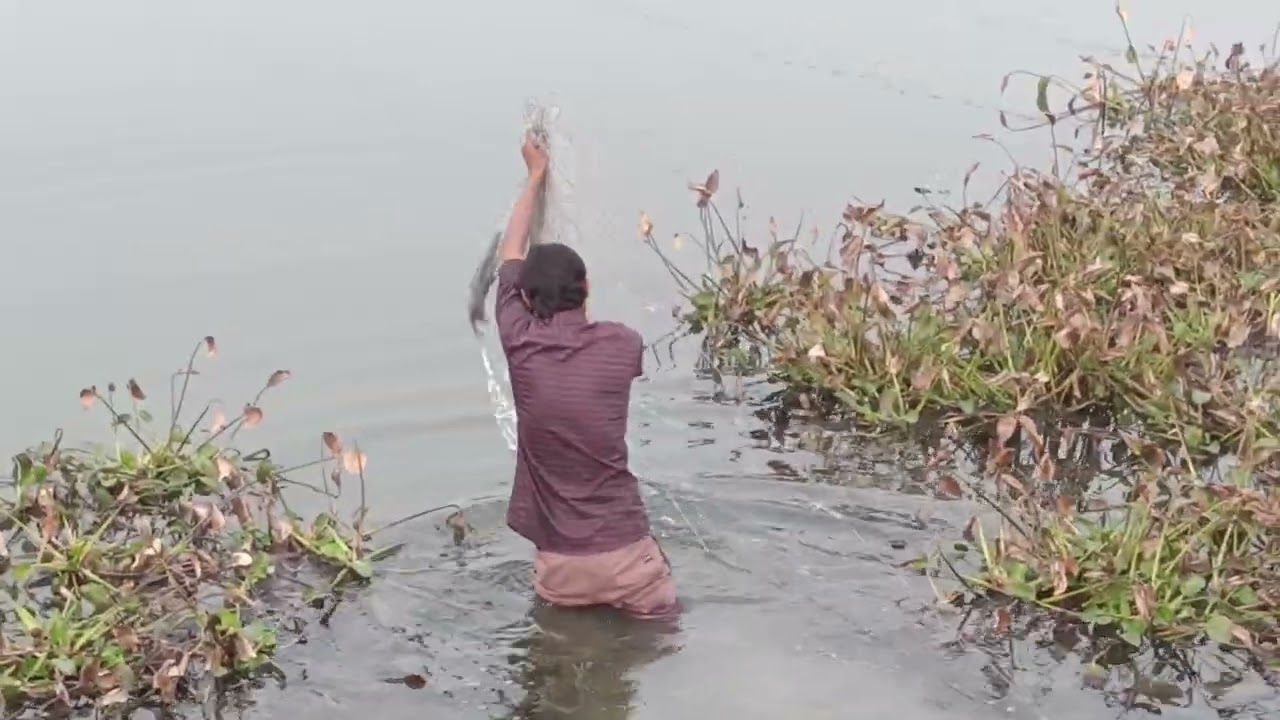 आज हमने बड़े तालाबो में तीन तीन जाल लगाकर बहुत सारी मछलियां पकड़ी पूरा video दे .. viral 🐠🐠💯