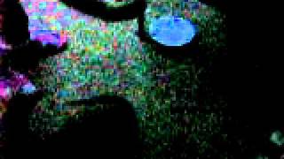 MVI_4740.avi