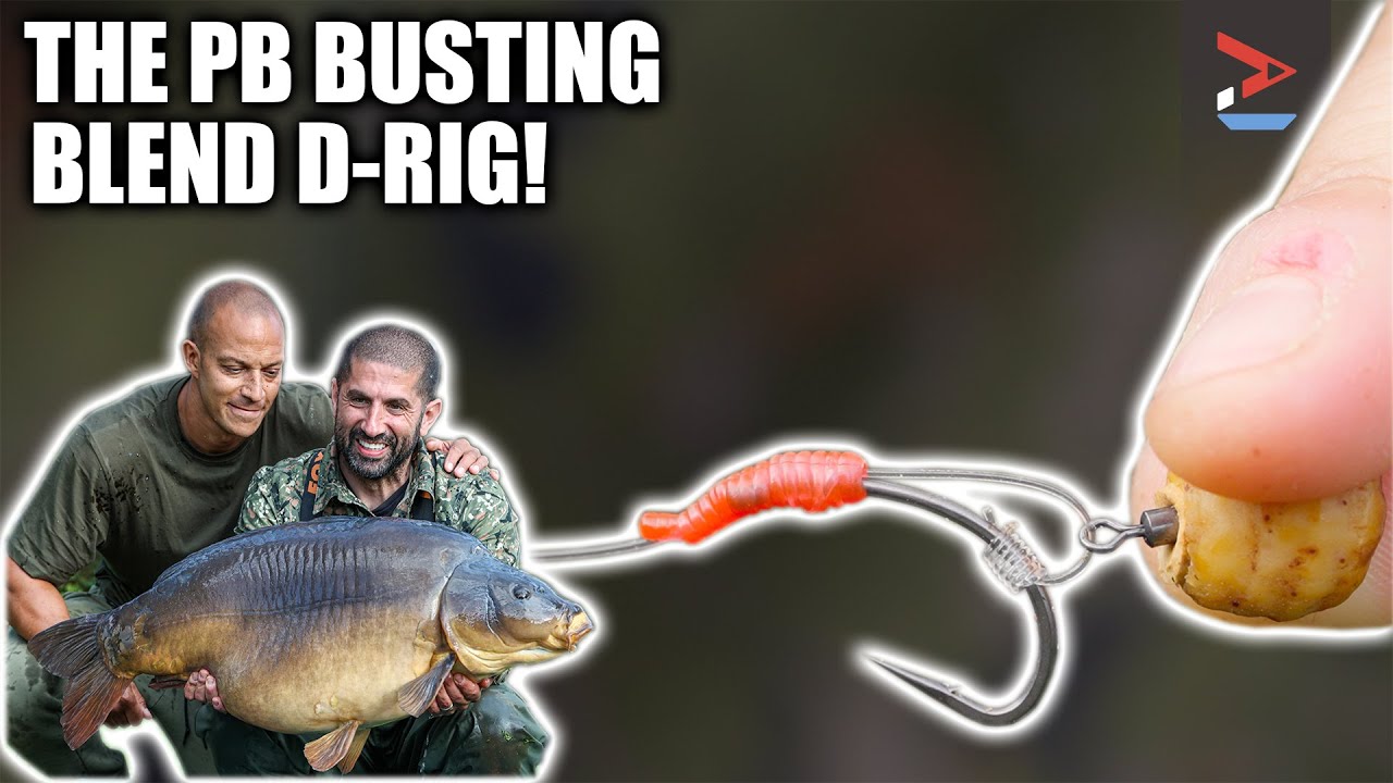 Ali Rig This Rig Caught Ali Hamidi a PB! | Blend Fluorocarbon D-Rig | Carp ...