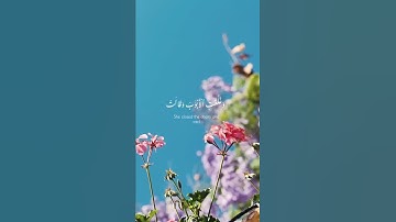 سورة يوسف - محمد الهادي توري