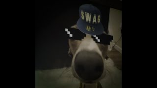 New Roblox Avatar Game Wip 0