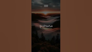 {یَـٰقَوۡمِ إِنَّمَا هَـٰذِهِ ٱلۡحَیَوٰةُ ٱلدُّنۡیَا مَتَـٰعࣱ} | محمد صديق المنشاوي | سورة غافر.