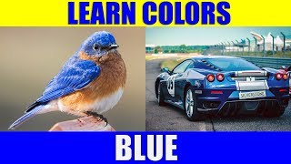 Learn Color BLUE - Things That Are Blue in Colour