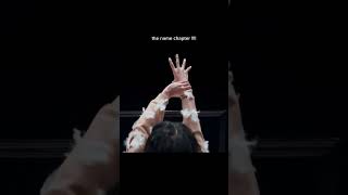 ✨THE NAME CHAPTER✨