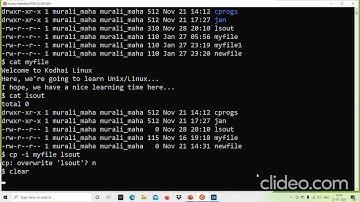 Linux: cp command - part 2.