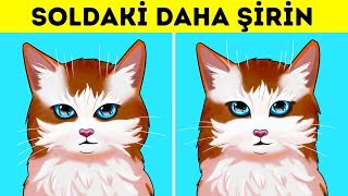 Neden Bazı Şeyler Diğerlerinden Daha Sevimli Gelir?