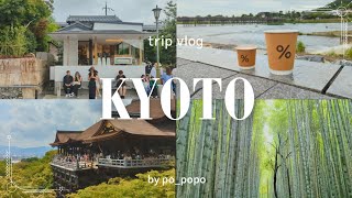 【Kyoto】One day to enjoy the sightseeing course of Arashiyama, Gion , Kiyomizu / minced meat and rice