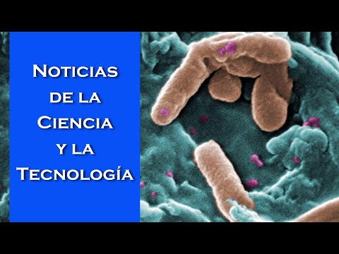 Nuevo pterosaurio jurásico, virus antibióticos, colores que no dependen de la química