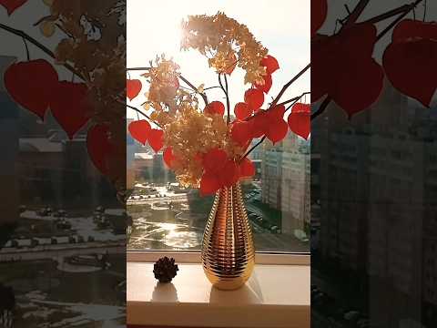 ОСЕННЯЯ ГРУСТЬ🌞🍁🦋...А ВПЕРЕДИ ЗИМА... ❄❄❄красивая мелодия🎷 ОСЕНЬ и волшебный саксофон.Мишель Легран