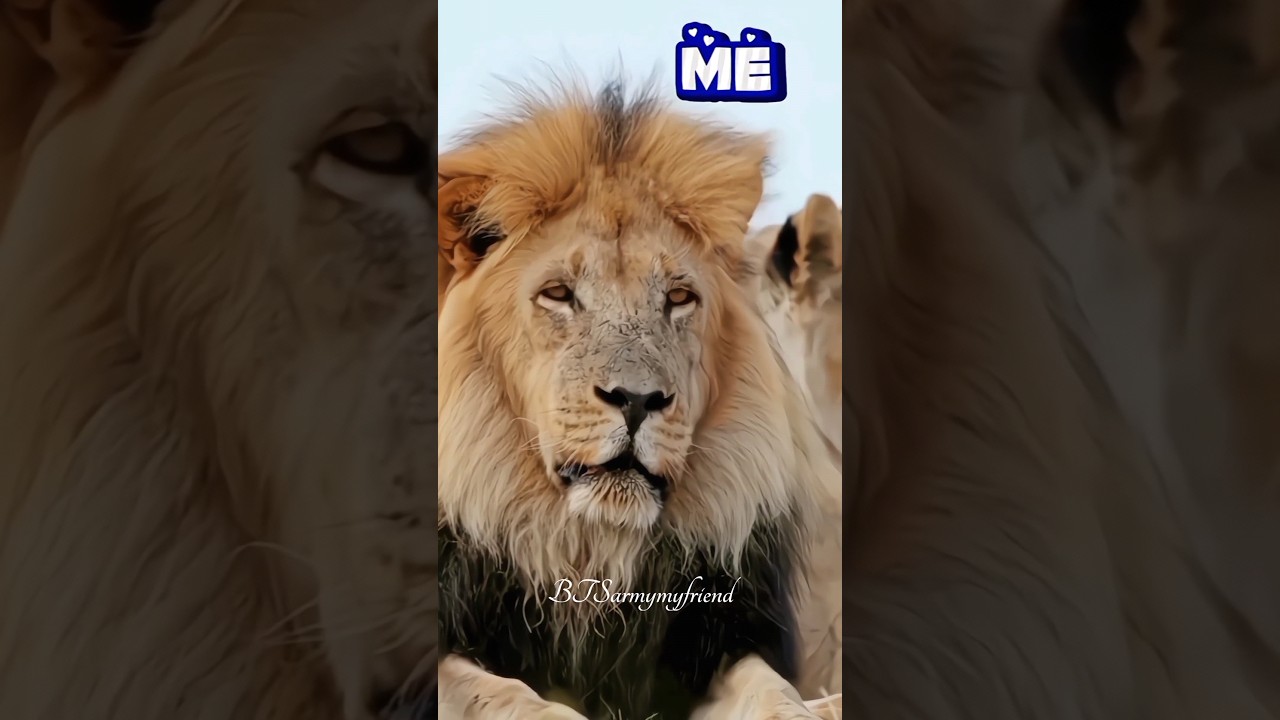 🐯Kim taehyung ff 21+ needy🐯😈🔱WhatsApp status 