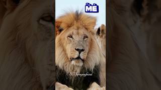 Download Lagu 🐯Kim taehyung ff 21+ needy🐯😈🔱WhatsApp status #viral #bts #shorts #taehyung #tiger #ytshorts #btsarmy MP3