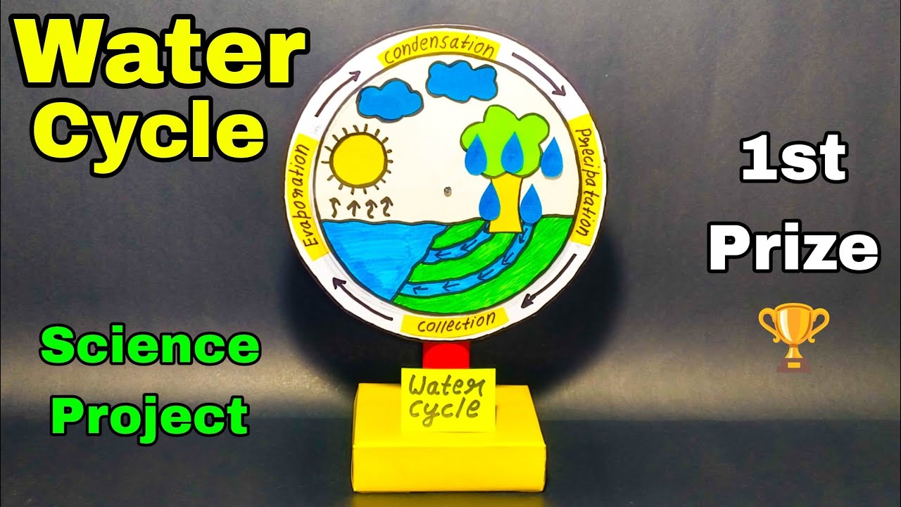 Water cycle project for school,Water cycle model, Science project for ...