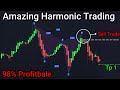 Harmonic Pattern Trading Strategy Gives us the Highest Probability for Success -  Step By Step Guide