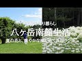 【八ヶ岳南麓60代一人暮らし】#72 青い空と緑の牧場ランチ「日野水ファームハウス」 /清里「クレアたちの森」/夏の花「丘の公園」/お茶の時間「陰キャラの女子中学生は私」/移住暮らし/田舎暮らし
