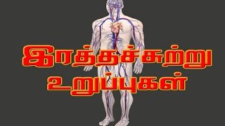 Circulatory - human body system and
functionhttps://www./watch?v=ustzfl5iekoto watch the rest of videos
buy this dvd at http://www.pebbleslive...