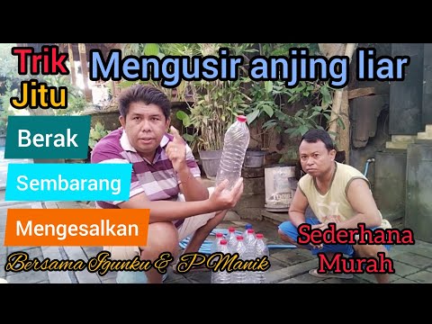 CARA MENGUSIR ANJING LIAR yang berak sembarangan , tips sederhana dan murah