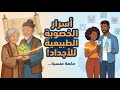 سر الخصوبة المنسي حكمة الجدات التي لا يعرفها الأطباء