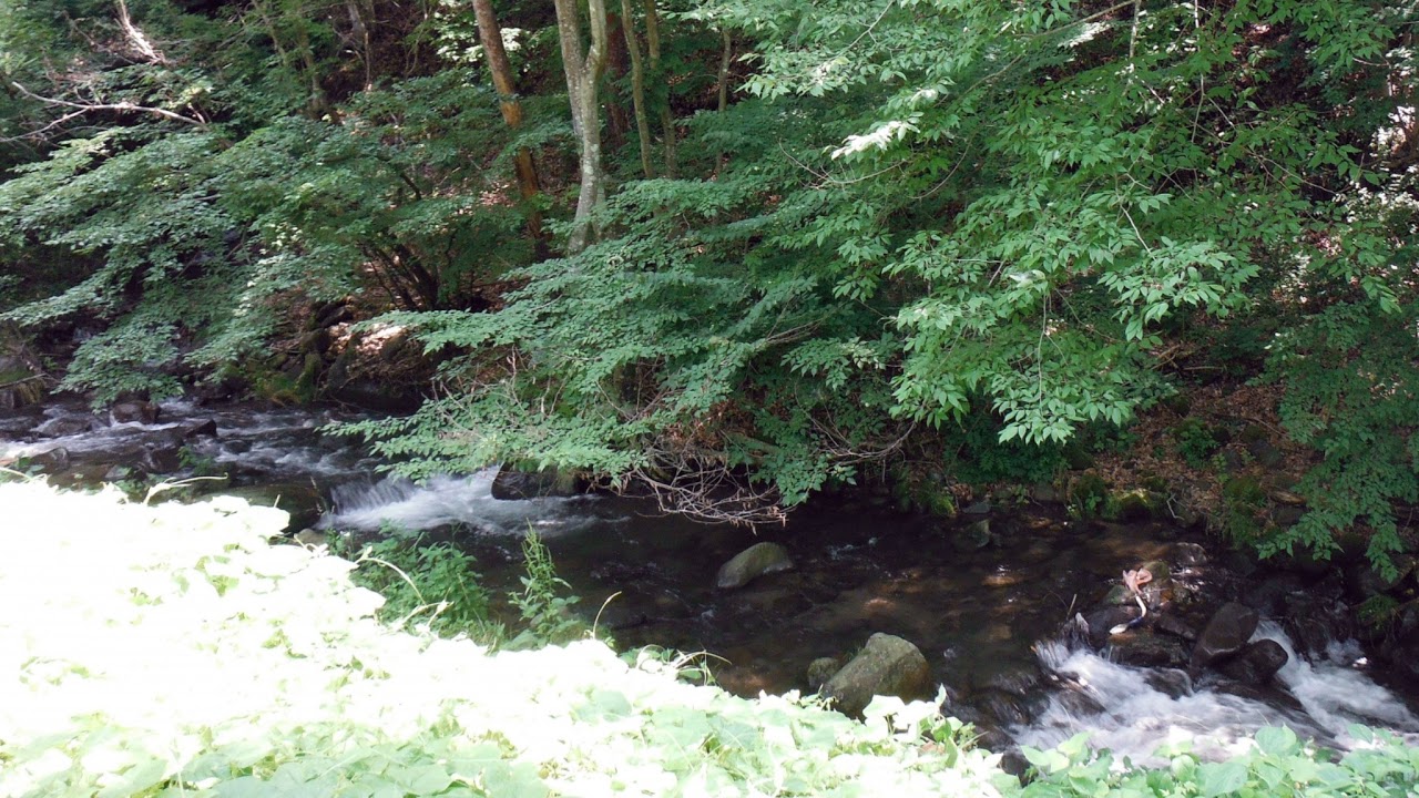 山梨県甲斐市亀沢ライブカメラ Yamanashi Kai Live Camera.world.cam