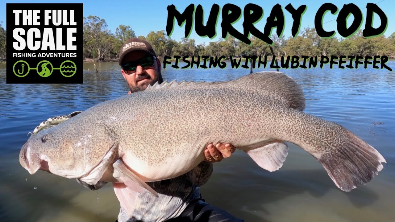 Murray Cod Fishing With Lubin Pfeiffer, Murray River