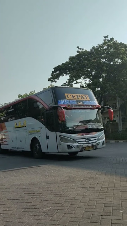 Eka Cepat jurusan Surabaya Magelang melintas di Terminal Giwangan #bus #fypシ #jogja