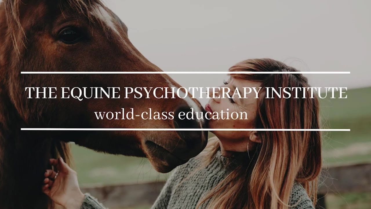 Welcome to the Equine Psychotherapy Institute