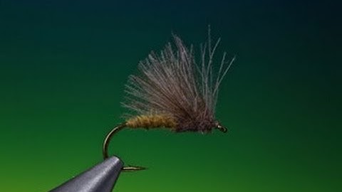 Tying a CdC caddis/sedge with Barry Ord Clarke