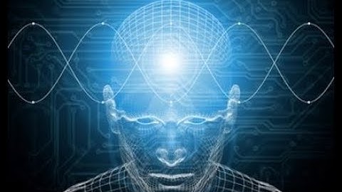 The Holographic Brain