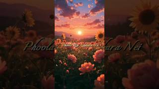 To Akhi Mo Aaina 🥰 || Odia whatsapp status || #odia #trendingshorts#love#viral#video #fyp #explore.