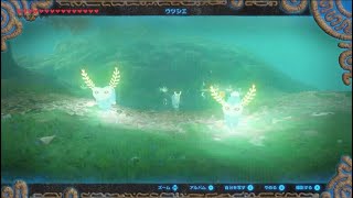 【ゼルダの伝説】マイペースに行くリンクと引きこもり44【ブレスオブザワイルド】