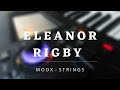 MODX Strings 🎻🎹 | Eleanor Rigby