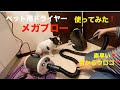 4BUHIの自粛生活10日目 メガブローで乾かしたよ フレンチブルドッグ 【French bulldog】