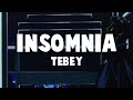 Tebey  insomnia  slowed  reverb 