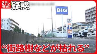 【“街路樹などが枯れる”疑惑】ビッグモーター現役社員「全店舗除草剤それが普通」　群馬では“成分検出”…各地の自治体は調査へ