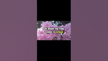 How to Articulate Your Thoughts More Clearly Than 99% of People | Shi Heng Yi | Speak with PowerHow