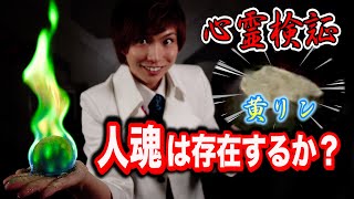 【心霊検証】人魂は存在するのか？科学の力で暴いてみた！黄リンの燐光・プラズマ？るーいのゆっくり科学コラボ