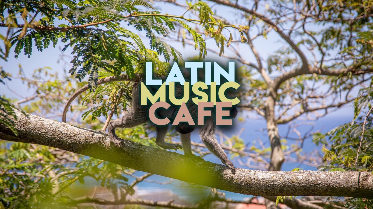 Caballito Netlabel - Zonora Point - Dame yerba (Daniel Klauser) - CBLLT012 | Latin Music Cafe ☕