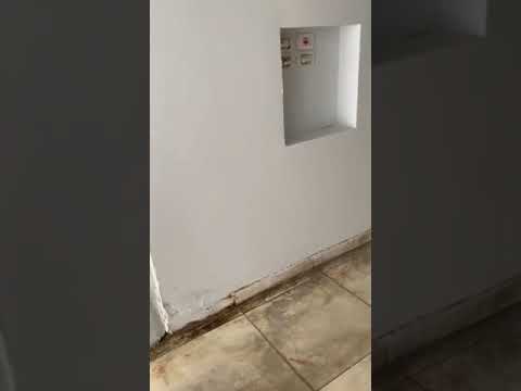 محل فى سوهاج