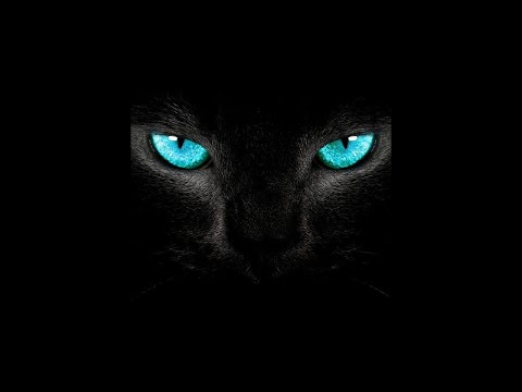 تور زنده سمفونی نوران FDM ۲۰۲۶