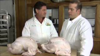 How To Choose the Perfect Turkey