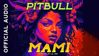Video voorbeeld van "Pitbull - Mami (Official Audio)"