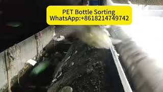 PET Bottle Color Sorting Machine Working Process | Plastic Recycling Factory Direct #plasticsorter