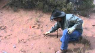 Mantracking - Track Stick and Stride Speed.wmv