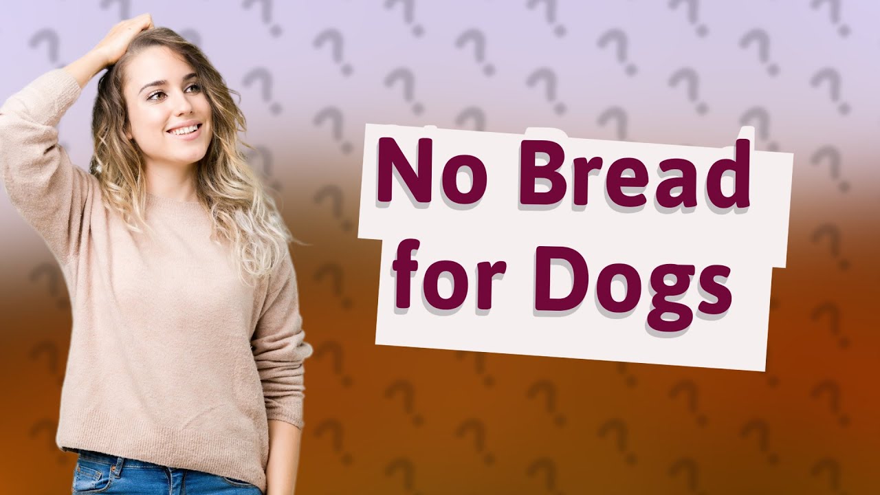 Should I Give My Dog Bread After Eating Chicken Bones YouTube Should I Give My Dog Bread After Eating Chicken Bones YouTube