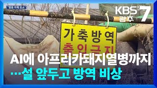 AI에 아프리카돼지열병까지…설 앞두고 방역 비상 / KBS  2026.02.12. screenshot 5