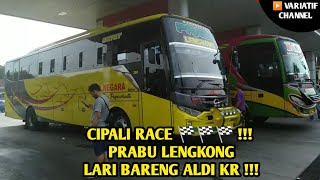 CIPALI RACE !!! SETIA NEGARA PRABU LENGKONG LARI BARENG LURAGUNG ALDI KR !!!
